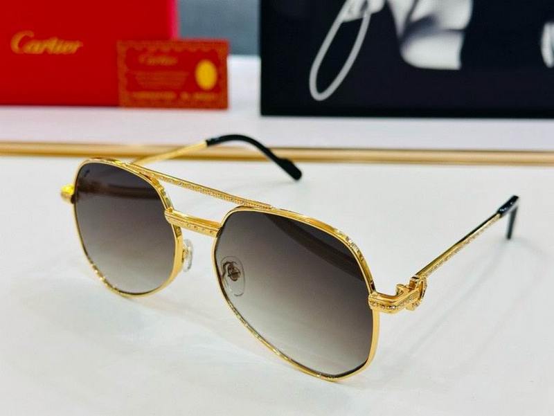 Cartier Sunglasses 691